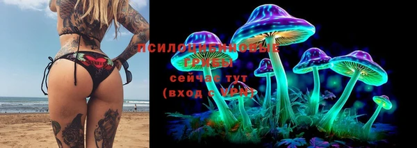 мдпв Няндома