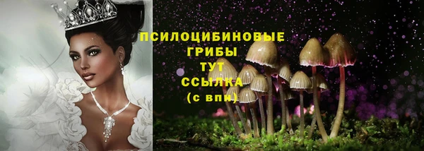 мдпв Няндома