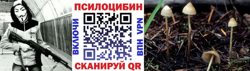 где продают наркотики  Фокино  Галлюциногенные грибы ЛСД 